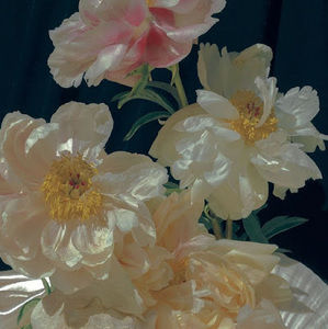 Meet your Posher, Anne-marie